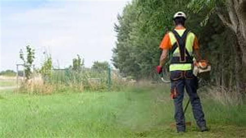 Cantiere occupazionale comunale annualità 2026. Graduatoria provvisoria ammessi ed esclusi.