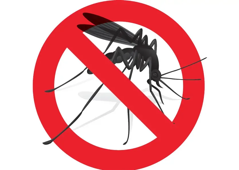 Disinfestazione
